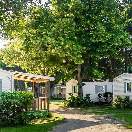 Camping Les Avignon - La Laune Вільнев-лез-Авіньйон Екстер'єр фото