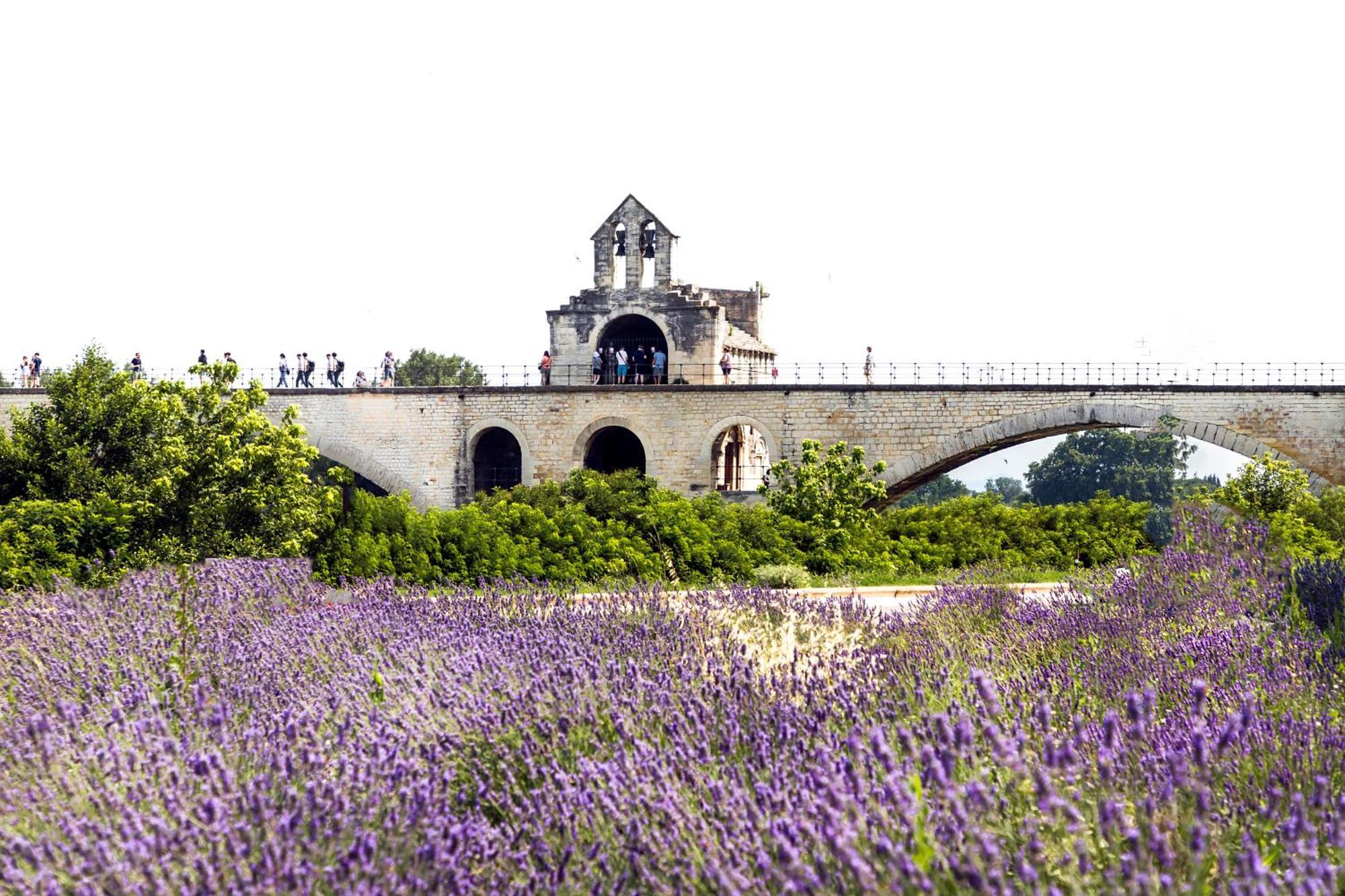 Camping Les Avignon - La Laune Вільнев-лез-Авіньйон Екстер'єр фото